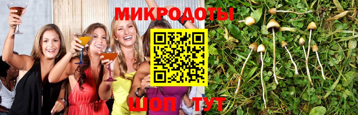 Гуково  Псилоцибиновые грибы мицелий  Вход с VPN 