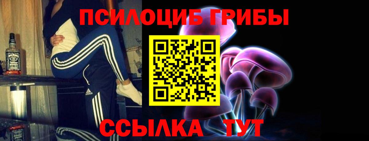 Галлюциногенные грибы Psilocybine cubensis Гуково