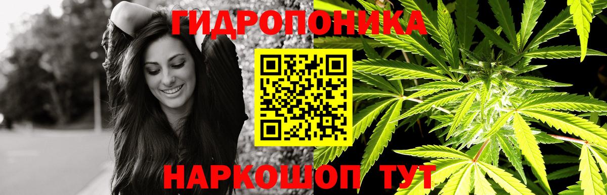 Гуково  Марихуана Amnesia  Шишки марихуана White Widow  Вход с VPN  Бошки Шишки Amnesia 